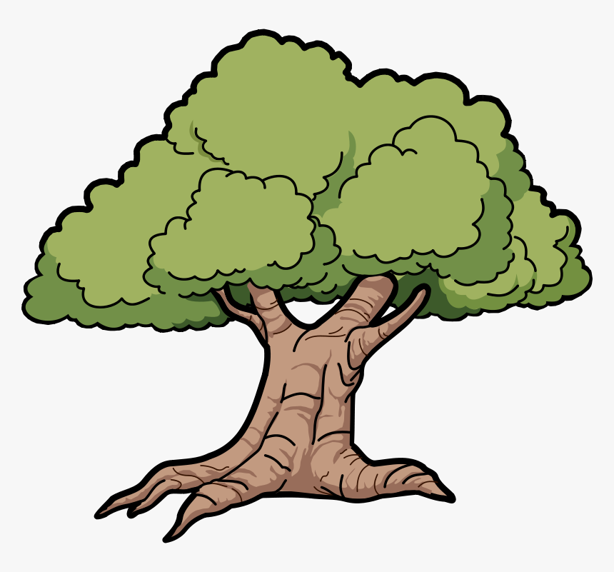 Nature Clipart Dark Forest Jungle - Oak Tree Clipart, HD Png Download, Free Download