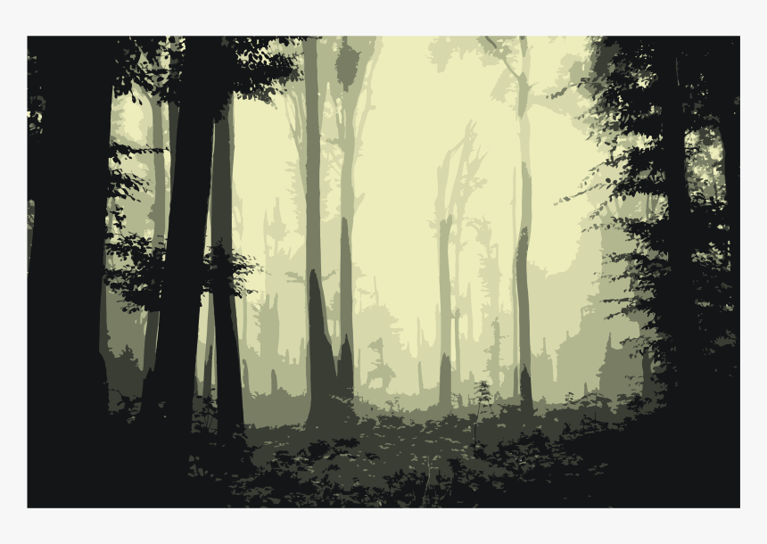 Old-growth Forest, HD Png Download, Free Download
