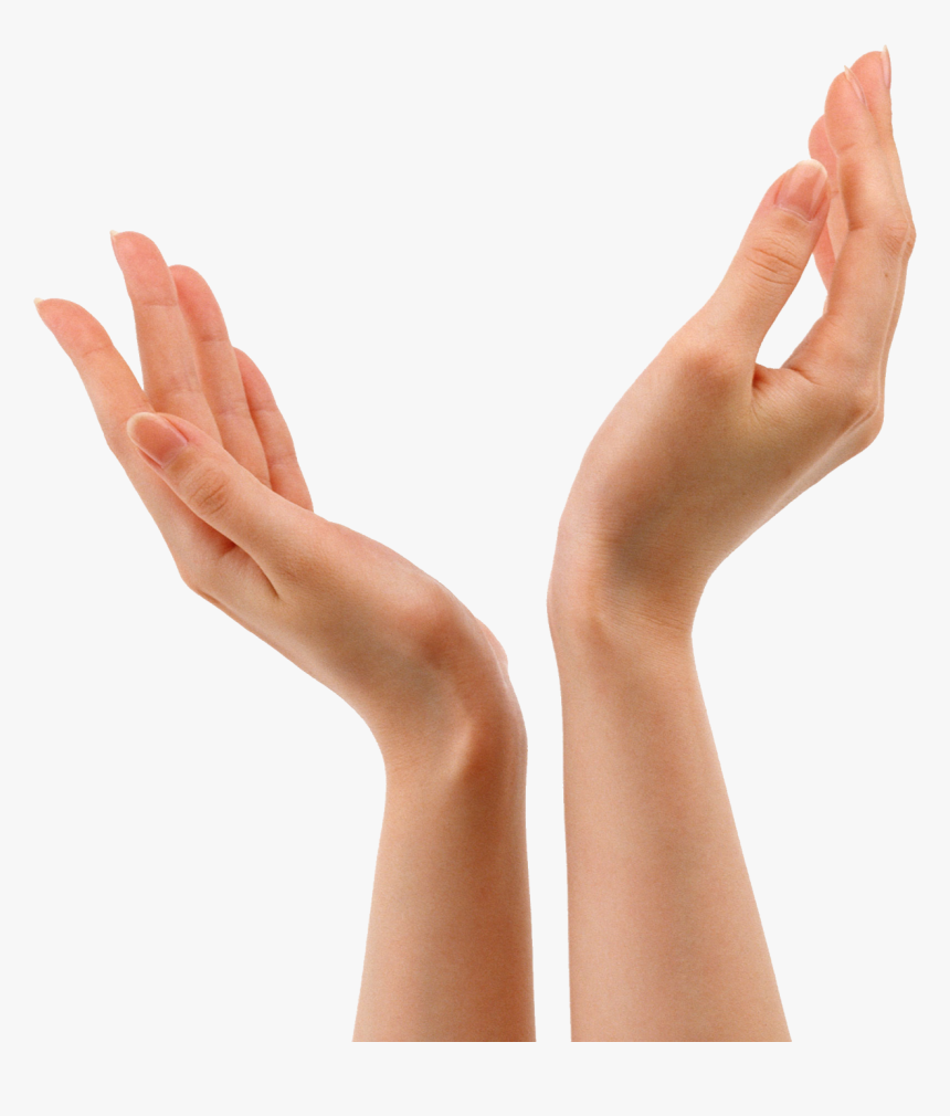 Hands In The Air Png - Hands Png, Transparent Png, Free Download