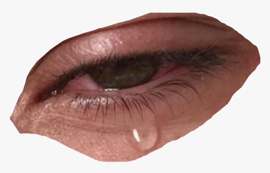 #eye #crying #artsy #cutout #freetoedit - Niche Meme Png Fillers, Transparent Png, Free Download