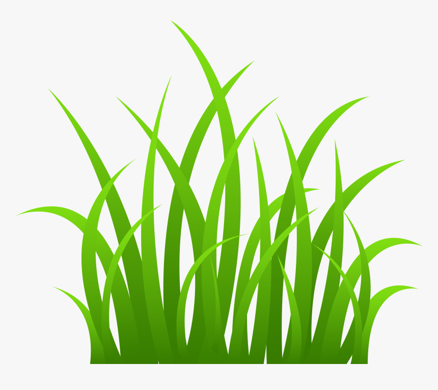 Clipart Grass Sea - Clipart Grass, HD Png Download, Free Download