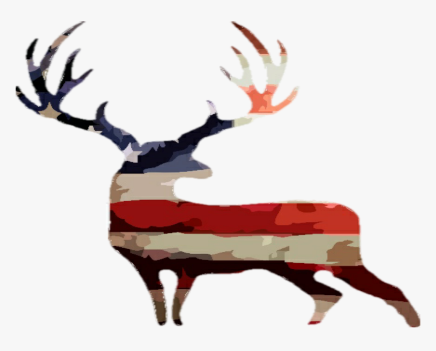 Services - Elk, HD Png Download, Free Download