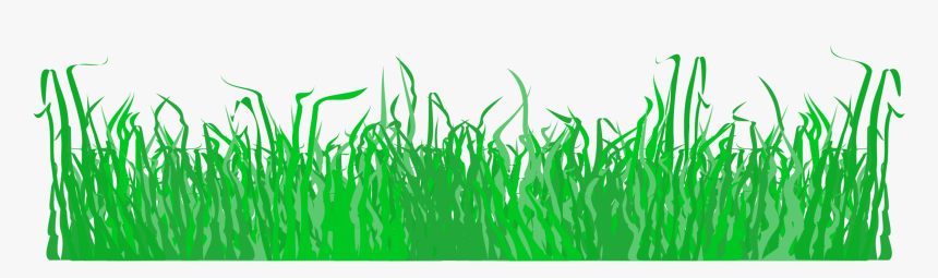 Plant,meadow,commodity - Grass Pdf Clipart, HD Png Download, Free Download