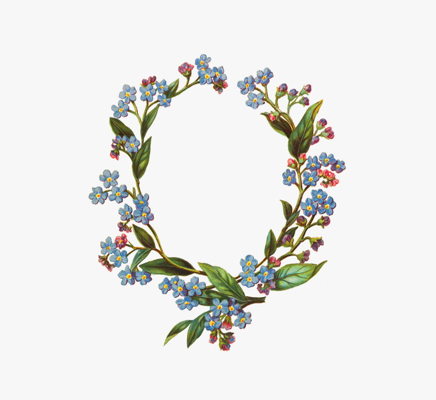 Forget Me Not Flower Frame - Flower Transparent Forget Me Not, HD Png Download, Free Download