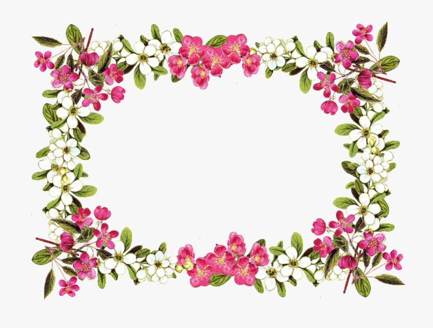 Floral Border Png - Flower Frame Transparent Background, Png Download, Free Download