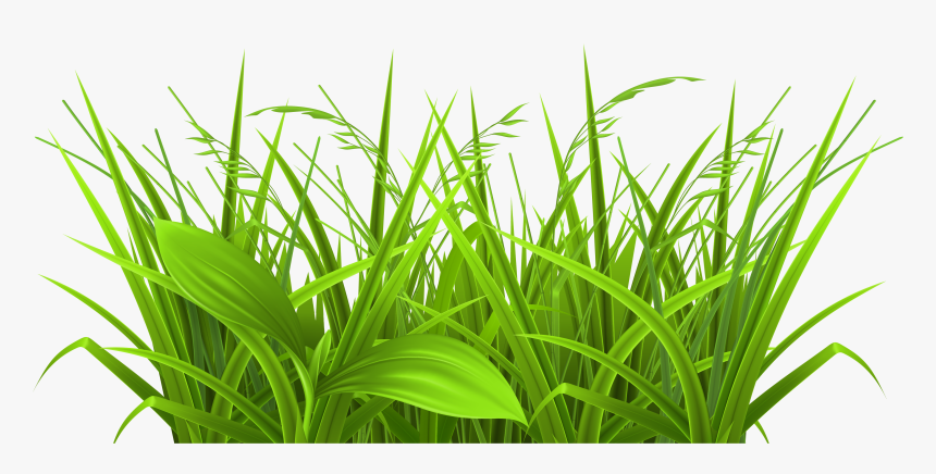 Grass Black And White Grass Clip Art Images - Full Hd Png Grass, Transparent Png, Free Download