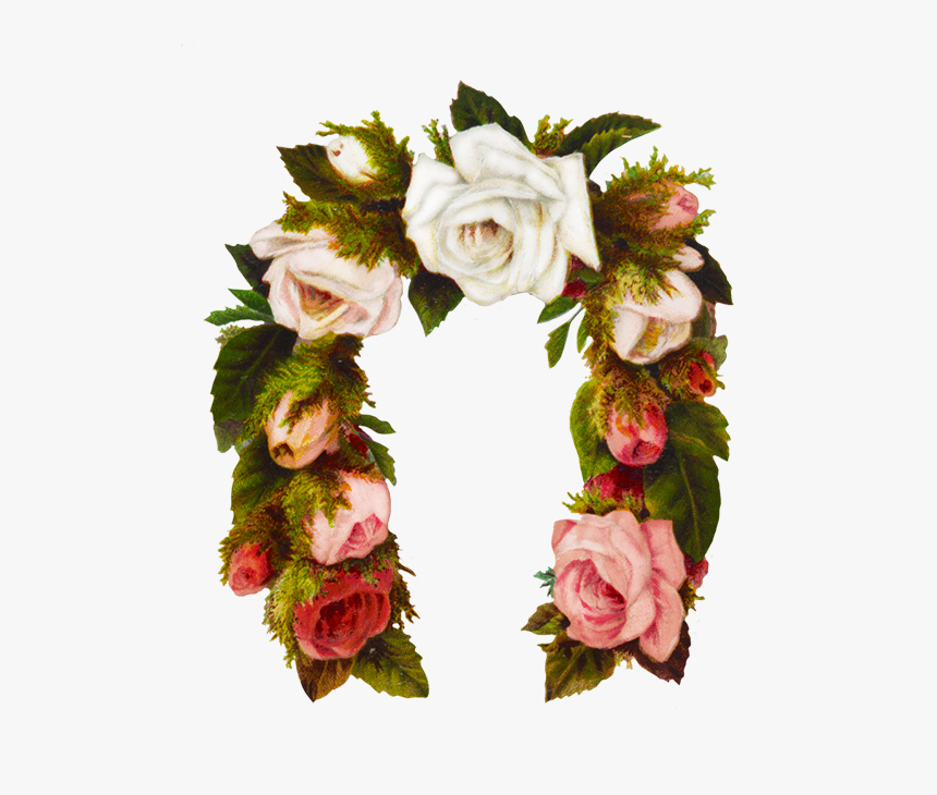 Rose Flower Frame Horse Shoe Shaped - Garden Roses, HD Png Download, Free Download