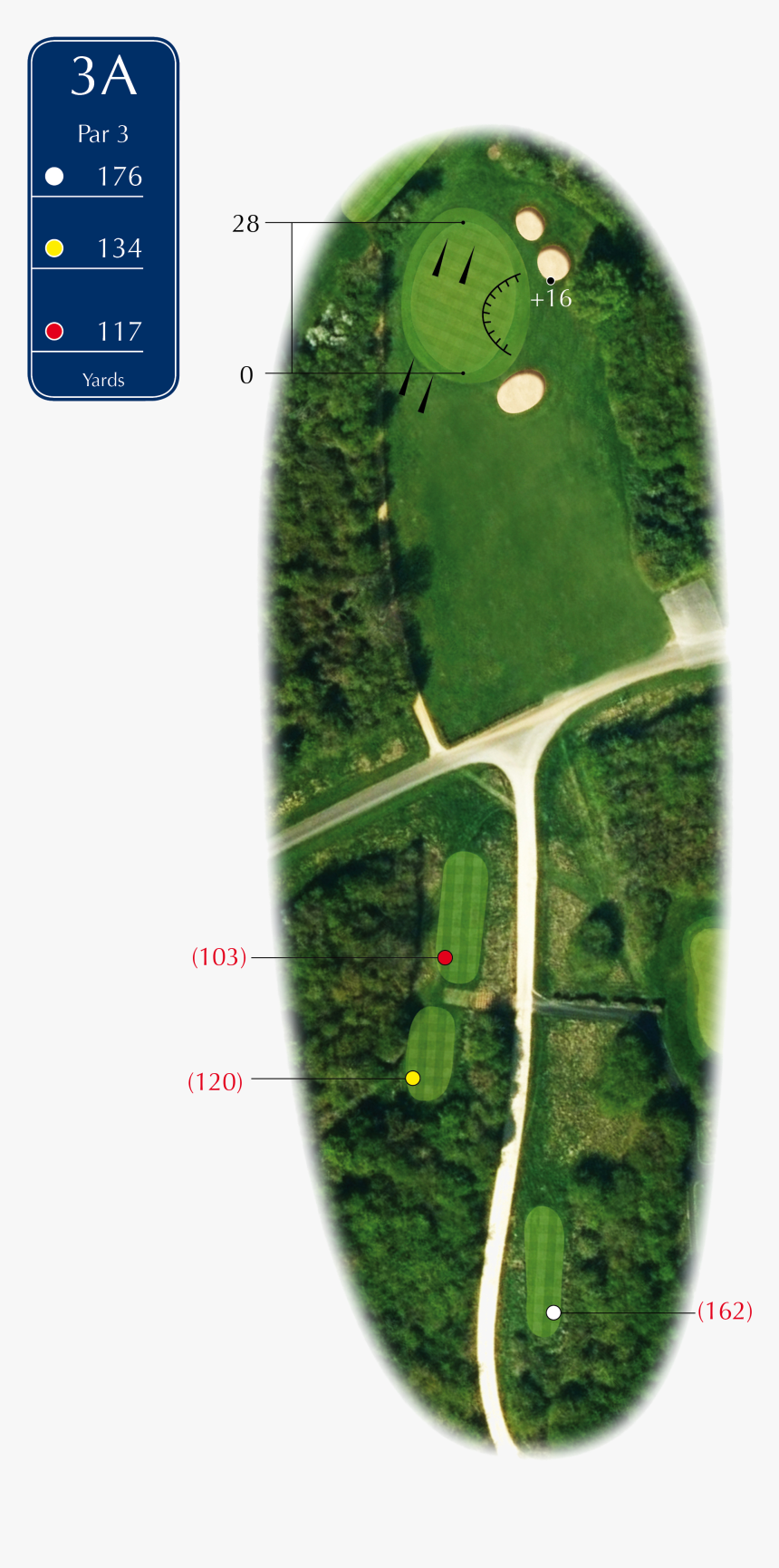 Hole 3a - Tree, HD Png Download, Free Download