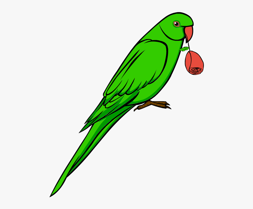 Transparent Parrot Clipart - Clipart Image Of Parrot, HD Png Download, Free Download