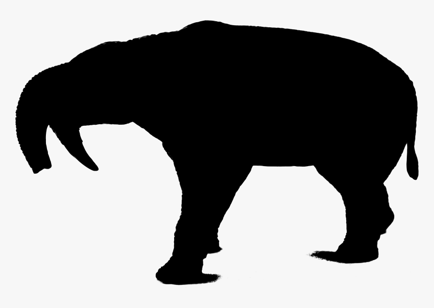 Wolf Silhouette Indian Elephant Bear Art - Angry Wolf Silhouette, HD Png Download, Free Download