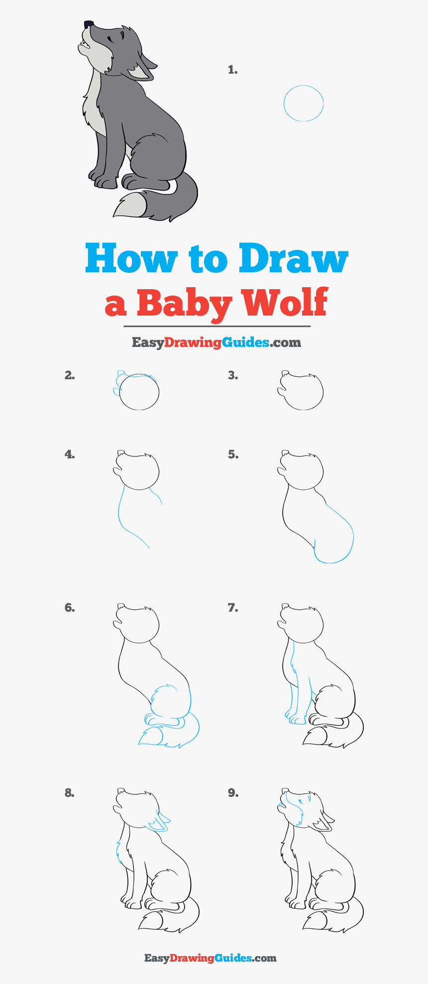How To Draw Baby Wolf - Baby Wolf Drawing Easy Step By Step, HD Png Download, Free Download