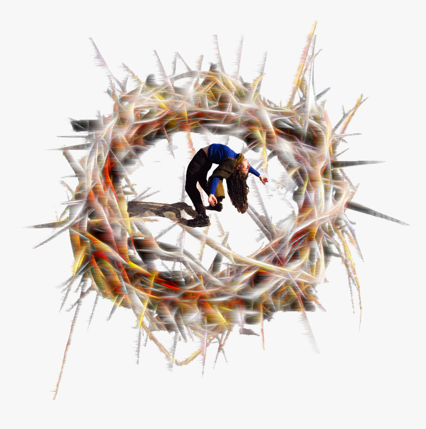 Transparent Crown Of Thorns Png - Arctic Tern, Png Download, Free Download