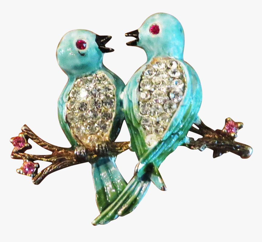 Pigeons And Doves, HD Png Download, Free Download