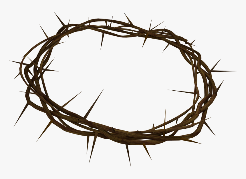 Crown, Of, Thorns, Jesus, Christian - Crown Of Thorns Transparent, HD Png Download, Free Download