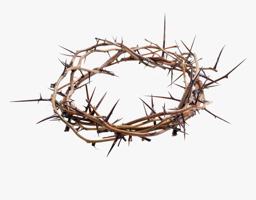 Crown Of Thorns Png Transparent - Crown Of Thorns Png, Png Download, Free Download