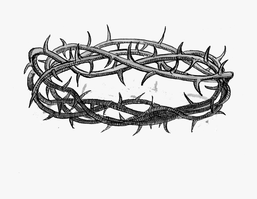 Transparent Thorn Crown Png - Catholic Crown Of Thorns, Png Download, Free Download