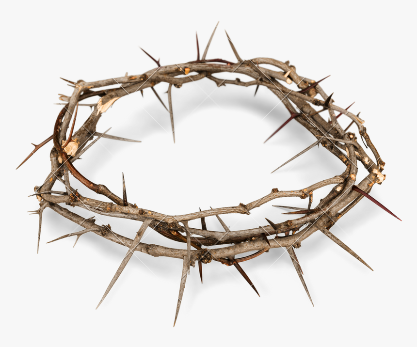 Crown Of Thorns Png Free Background - Transparent Background Crown Of Thorns Png, Png Download, Free Download