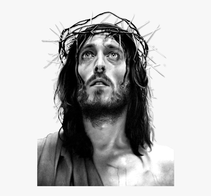 Jesus Christ Face Png, Transparent Png, Free Download