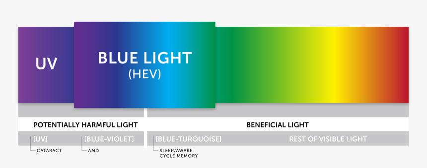 Image Of Blue Light Shown In Light Spectrum - 458 Nm Light, HD Png Download, Free Download