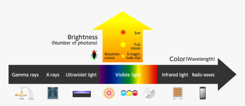 State Of Light - Photons Of Light Diagram, HD Png Download, Free Download