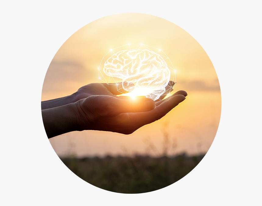 Hands Holding Illustration Of Brain - No Health Without Mental Health 2019, HD Png Download, Free Download