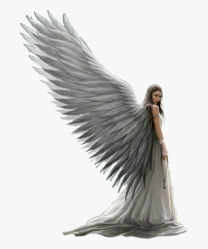 Arcangel Sinnester Beautiful Sharedstickers Enjoy - Heaven Beautiful Angel Wings, HD Png Download, Free Download