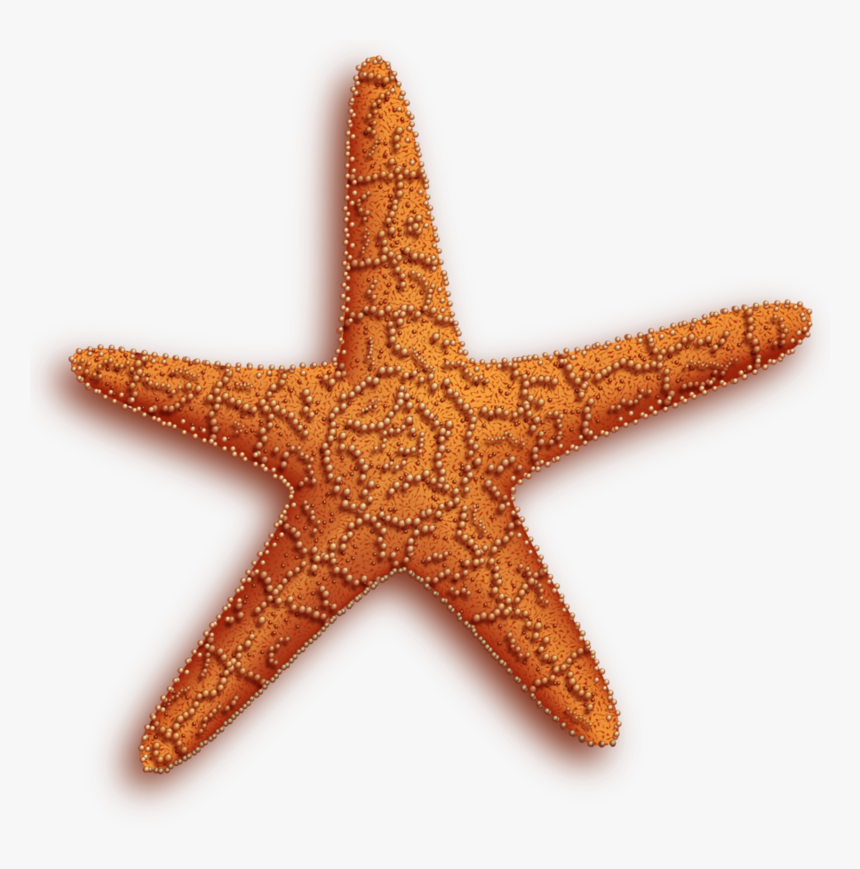 Download Free Png Image, Transparent Png, Free Download