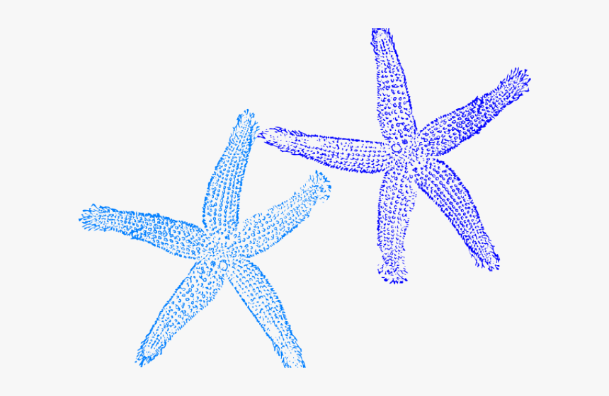 Starfish Clipart Blue Starfish - Blue Starfish Clip Art, HD Png Download, Free Download