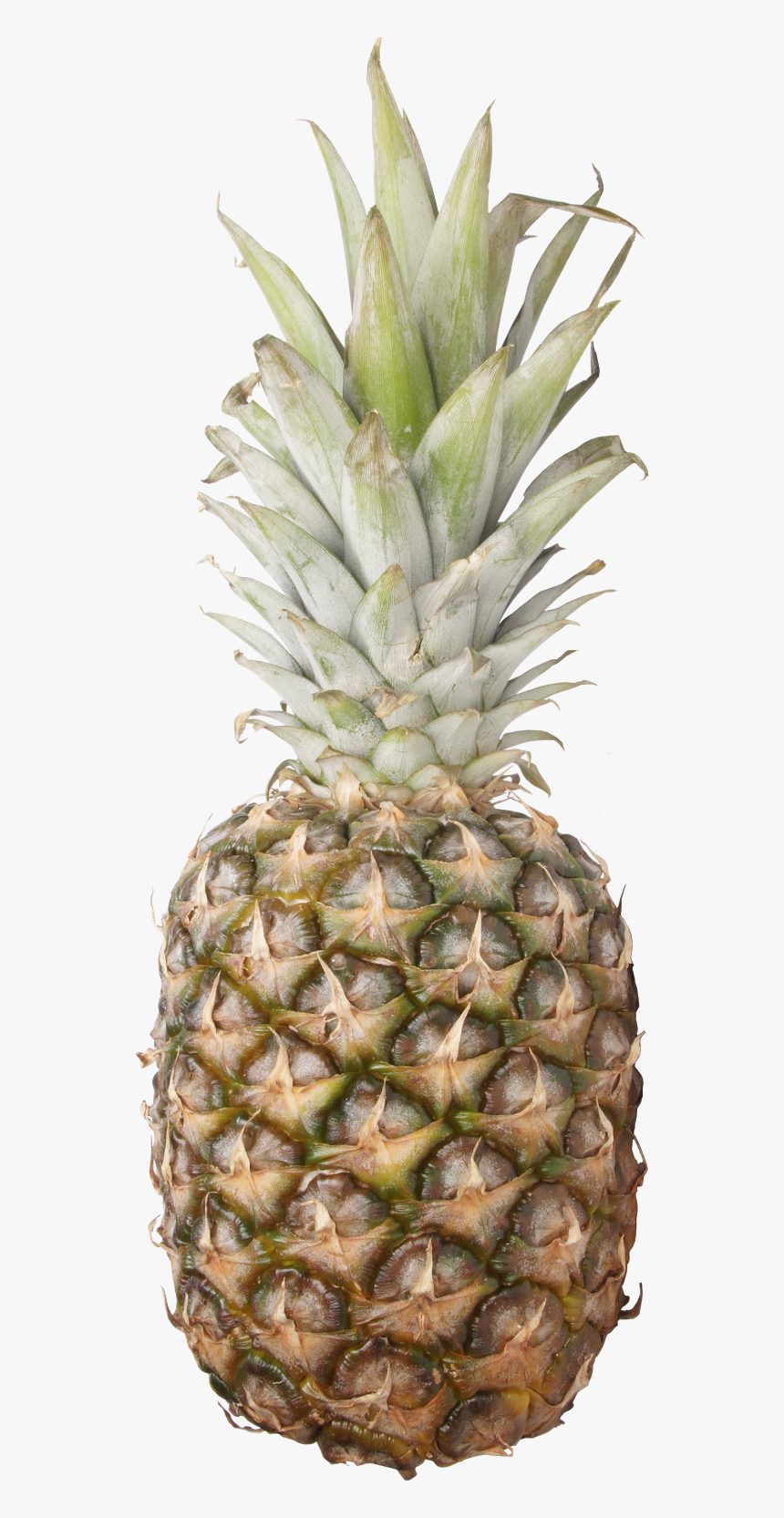 Transparent Abacaxi Png - Pineapple, Png Download, Free Download