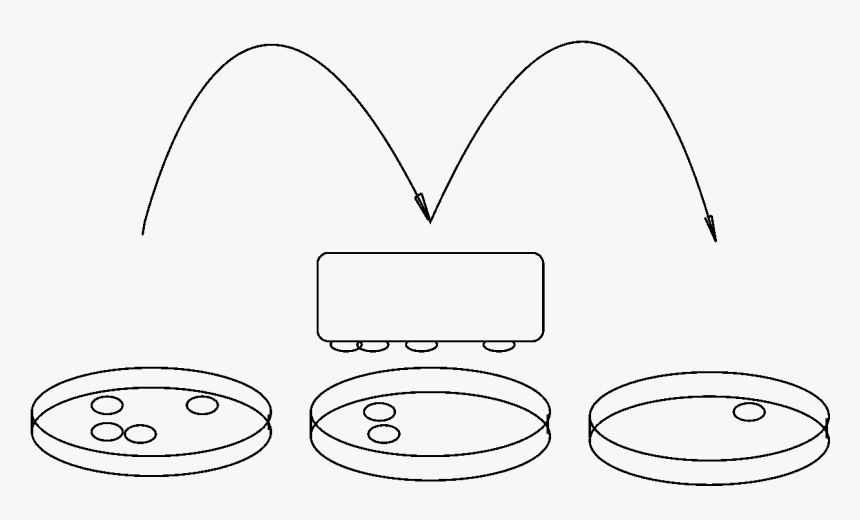 Line Art, HD Png Download, Free Download