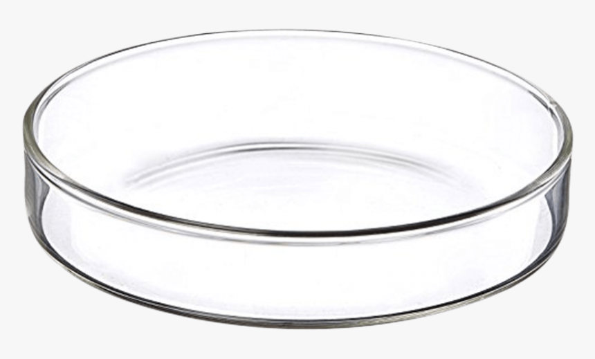 Petri Dishes Made Of Glass Can Be Sterilized By An - Bangle, HD Png Download, Free Download