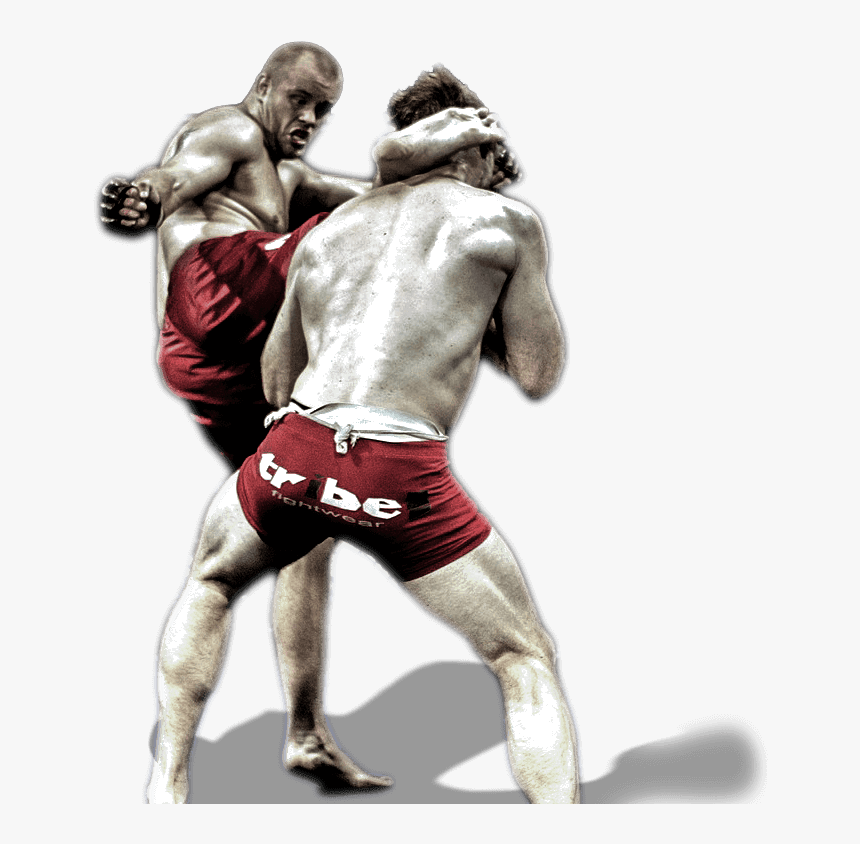 Mixed Martial Arts Png, Mma Png - Mixed Martial Mma Png, Transparent Png, Free Download