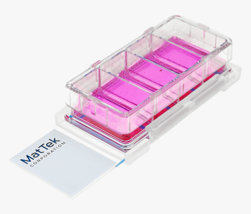 Banner - Cell Culture Slides, HD Png Download, Free Download