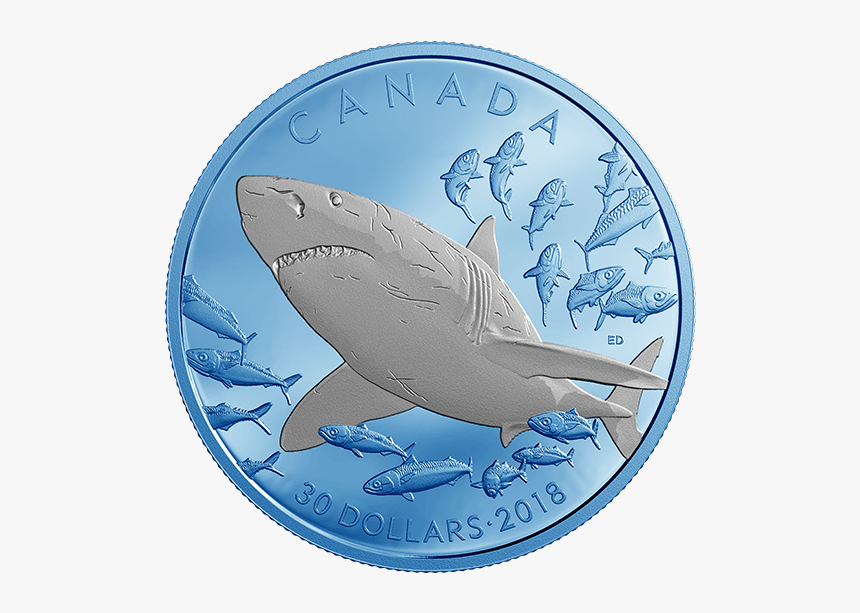 Canada Coin Shark, HD Png Download, Free Download