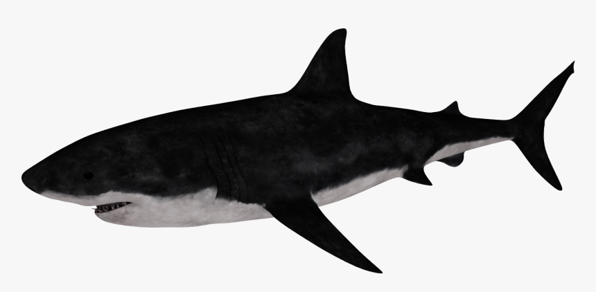 Requiem Shark, HD Png Download, Free Download