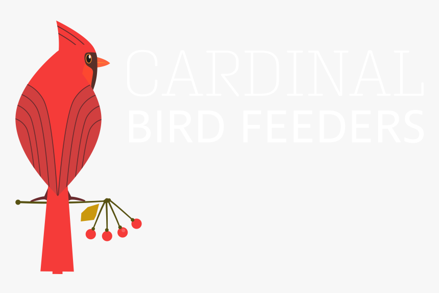 Cardinal Bird Feeder - Bird, HD Png Download, Free Download