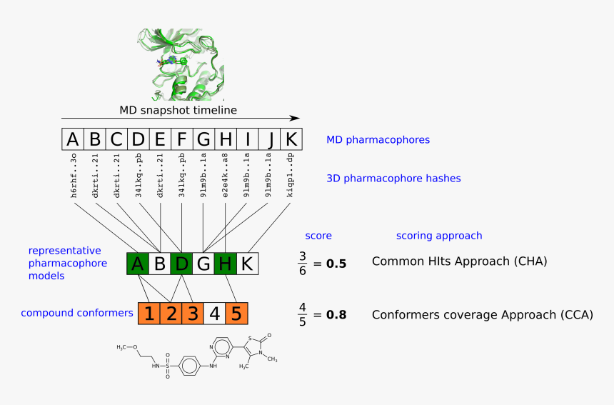 Diagram, HD Png Download, Free Download