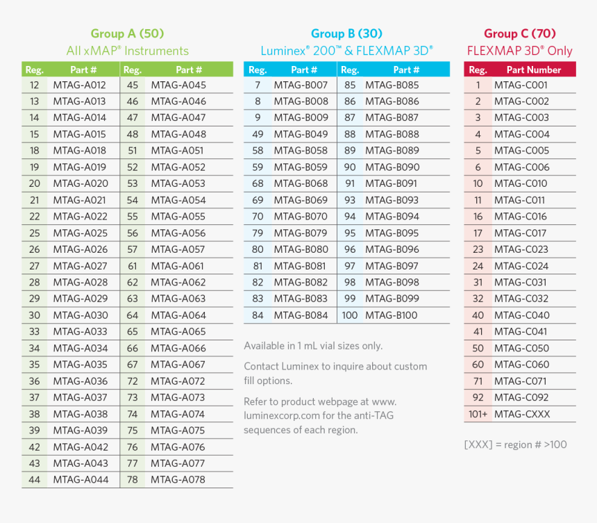 Document, HD Png Download, Free Download