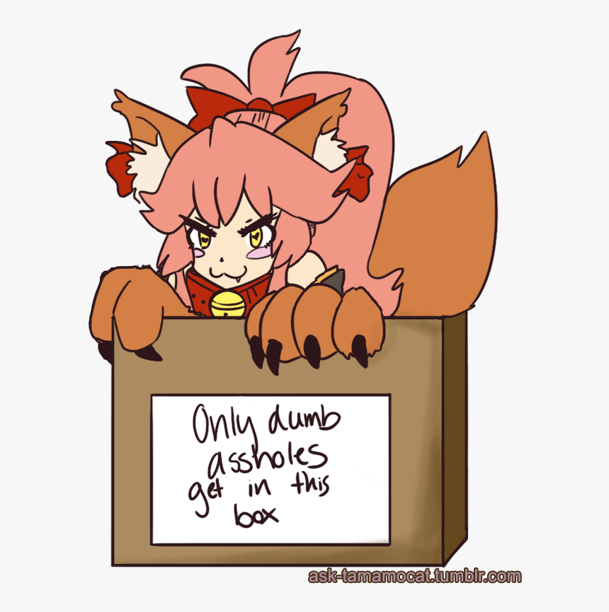 Oh No Wann Tamamo Cat Ate So Much Food On Thanksgiving - Fate Grand Order Tamamo Memes, HD Png Download, Free Download