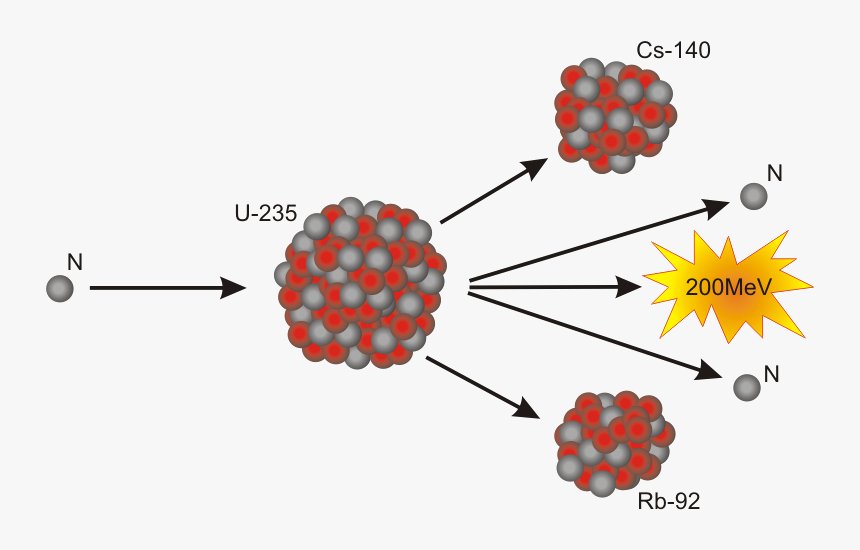 Nuclear Fusion Of Uranium 235 , Transparent Cartoons - Enrico Fermi Atomic Model, HD Png Download, Free Download