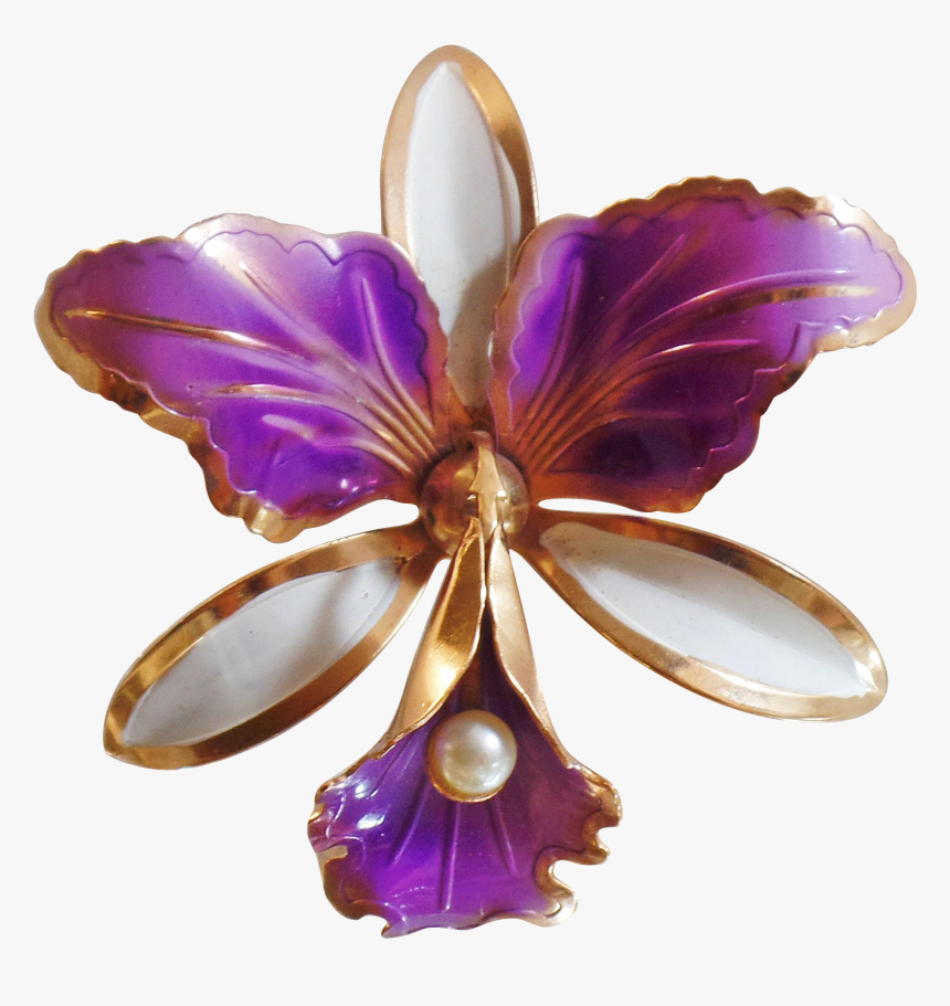 H/3224460062, Belinda Wilcox For Your Desktop - Gold Orchid Png, Transparent Png, Free Download