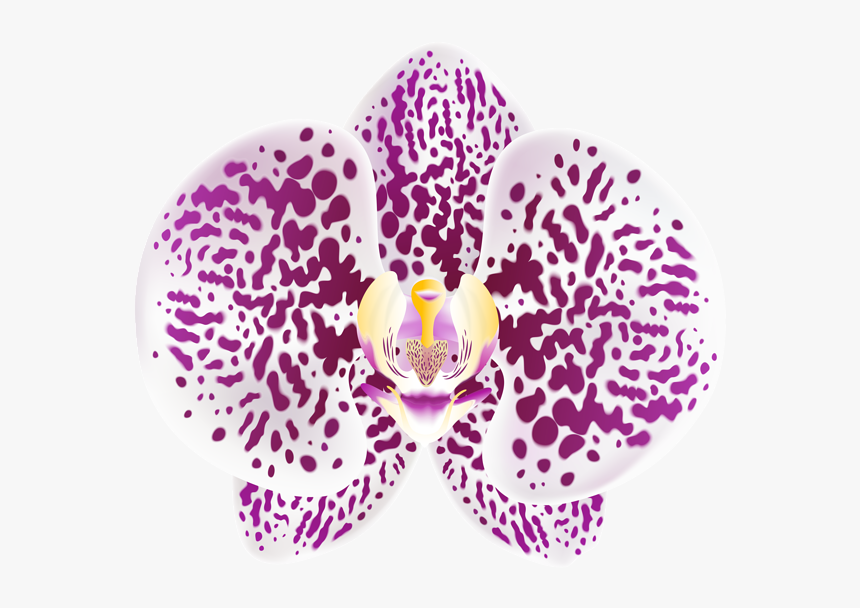 Transparent Orchid Png - Transparent Png Flowers Orchids Purple Png, Png Download, Free Download