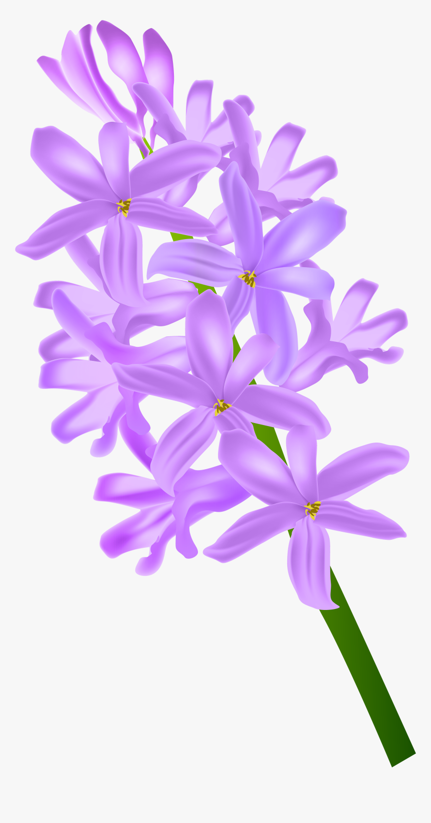 Orchid Clipart Lavender - Hyacinth Png, Transparent Png, Free Download