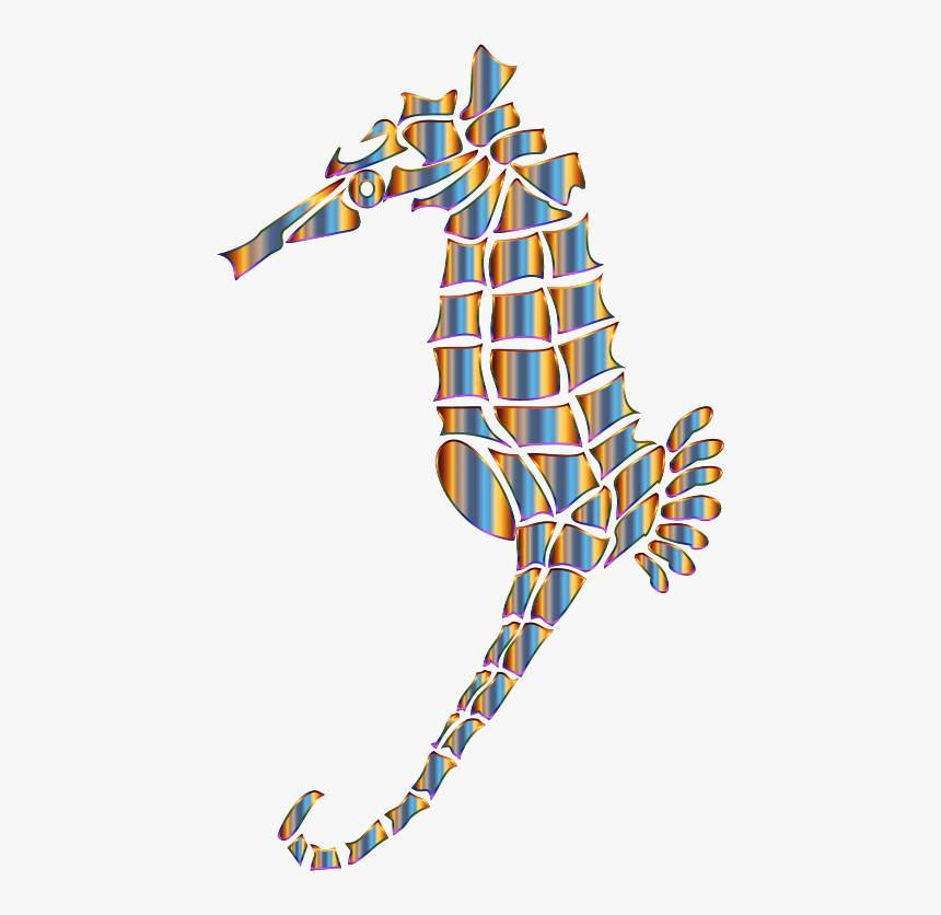 Chromatic Stylized Seahorse Silhouette No Background - Seahorse, HD Png Download, Free Download