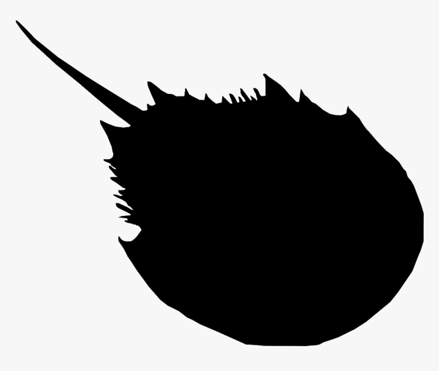 Horseshoe Crab Silhouette - Illustration, HD Png Download, Free Download