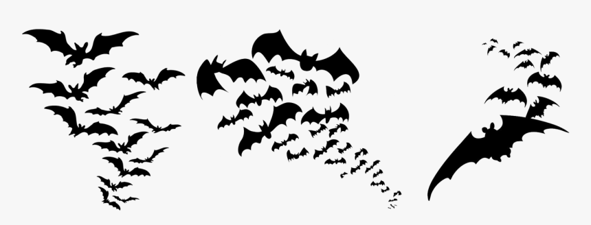 Bat, Silhouette, Isolated, Halloween, Weird - Halloween Clipart Transparent Background, HD Png Download, Free Download