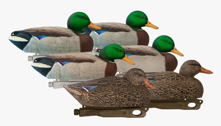 Hardcore Rugged Series Mallards, HD Png Download, Free Download