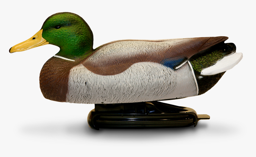 Spring Back Decoys, HD Png Download, Free Download