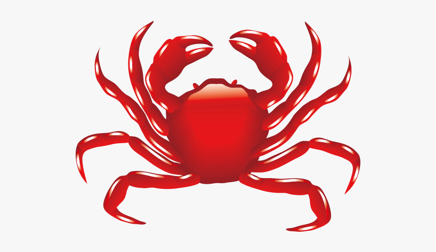 Crab,crabs Png Download - Crabs Png, Transparent Png, Free Download