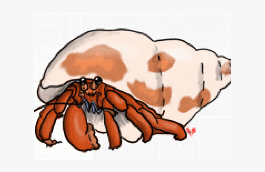 Hermit Crab Clipart Fish - Insect, HD Png Download, Free Download